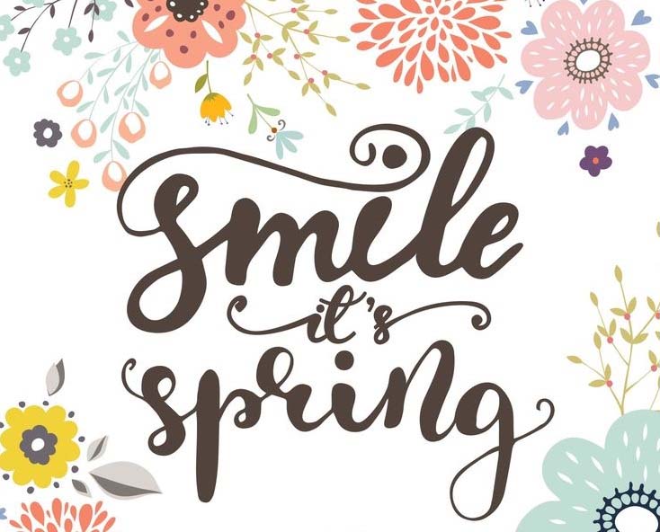 Dentist in Red Bank, NJ - Julie Molin, DMD